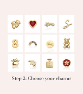 Fixed Charm Necklace (Gold) (Copy)