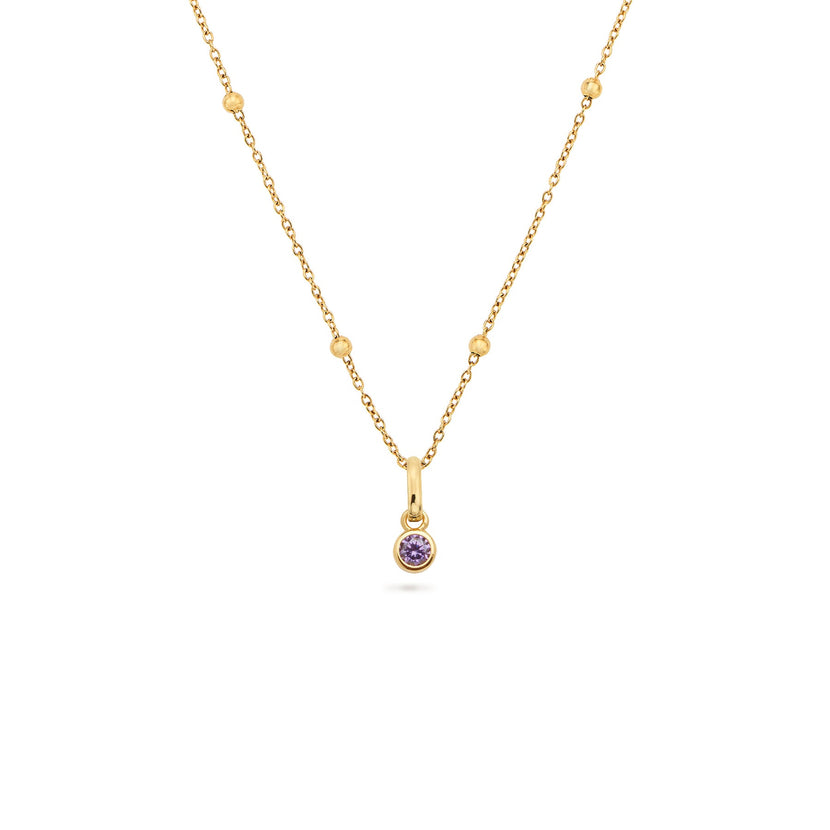 Round Birthstone Necklace (Gold)