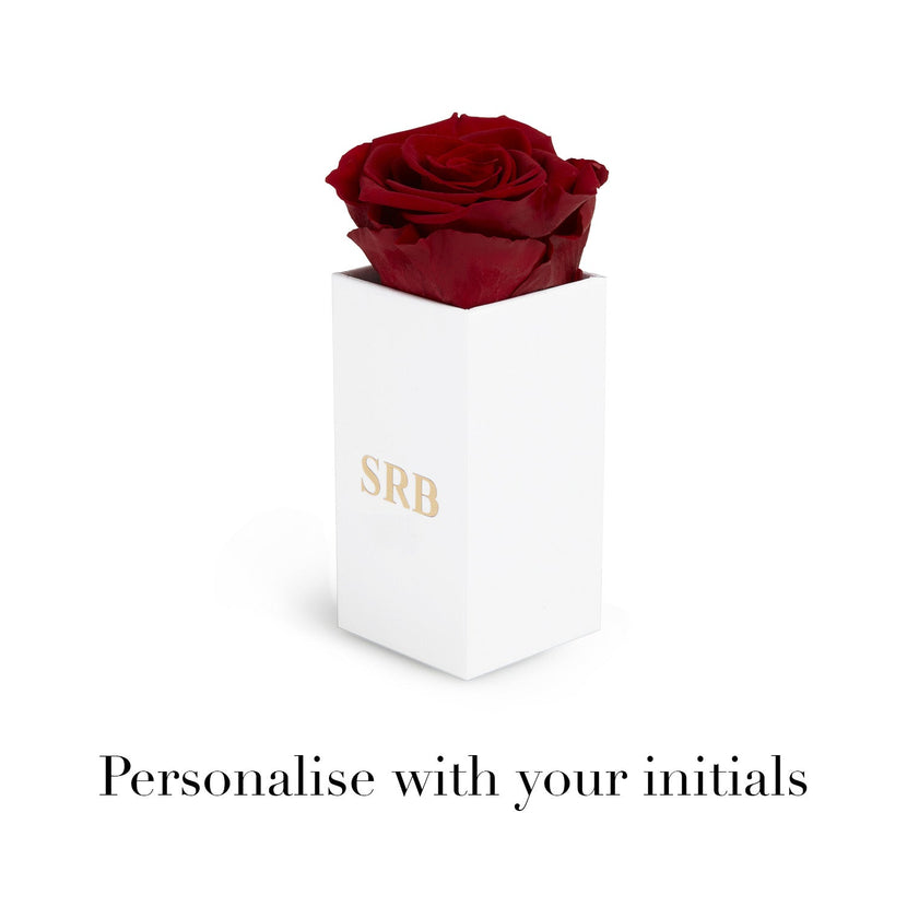 Toggle Heart Necklace (Gold) - flow test