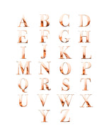 Metal Letter Key Ring (Rose Gold)