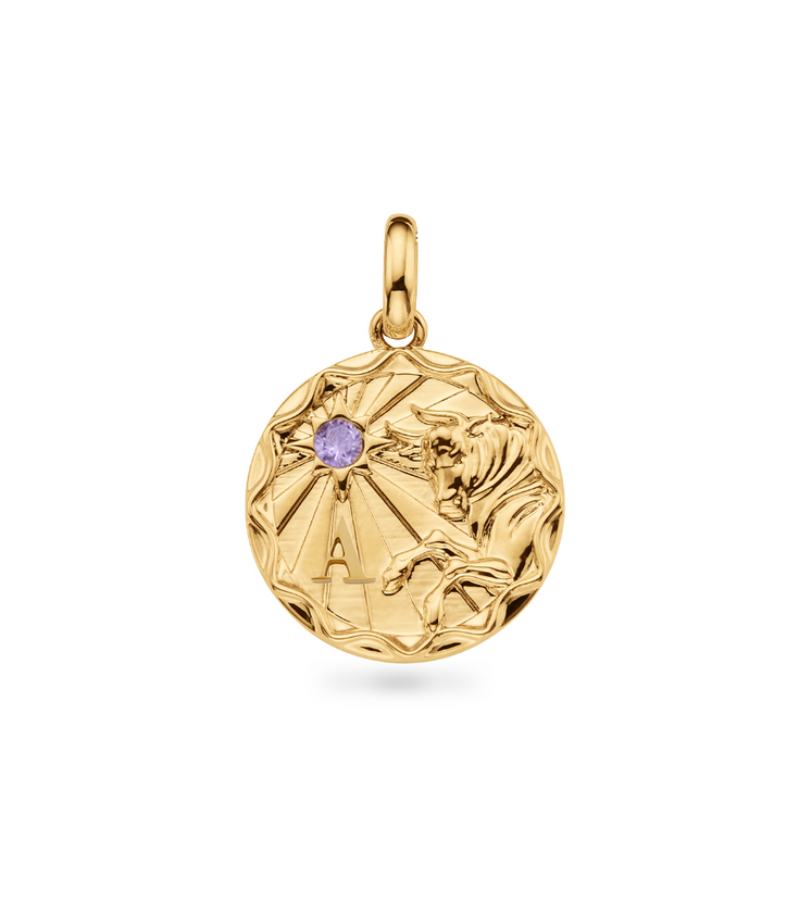 Onstate Zodiac Coin Necklace (Gold)