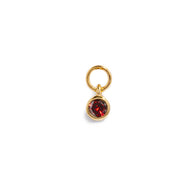 Stacey's Stories Mini Birthstone Hoop Charm (Gold)