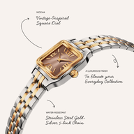 Essence 19mm Mocha Watch (Two Tone)