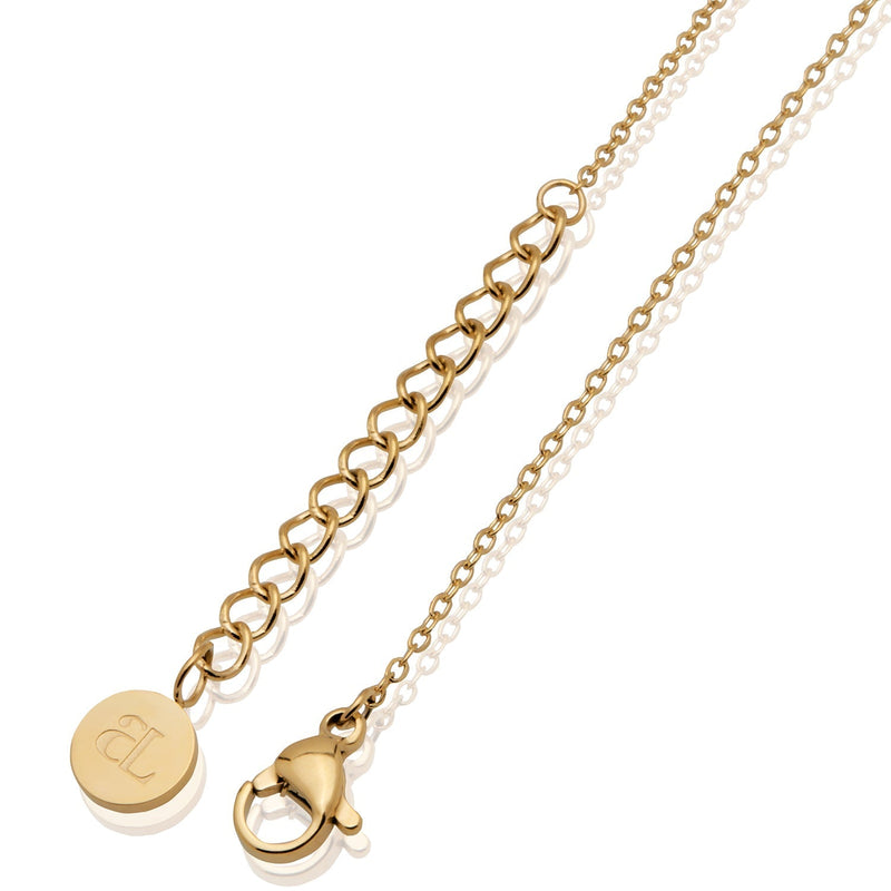Double Zodiac Necklace (Gold) (Copy)
