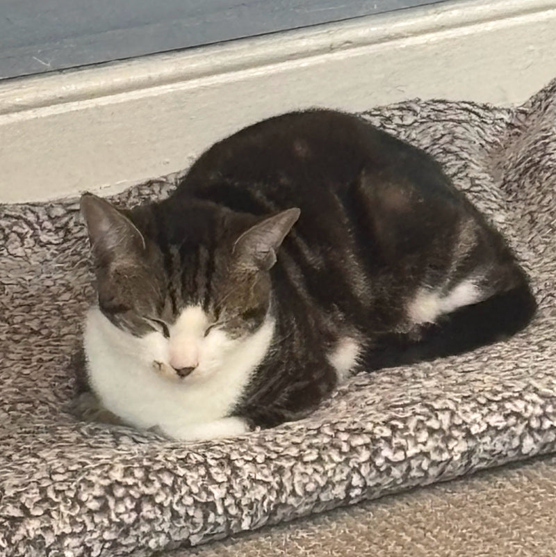 jaydons test product - dont remove