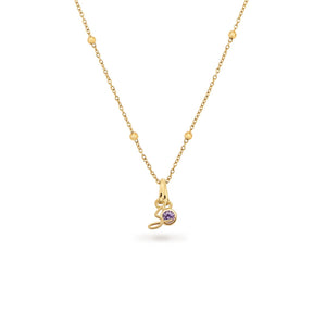Script Initial & Birthstone Necklace (Gold)
