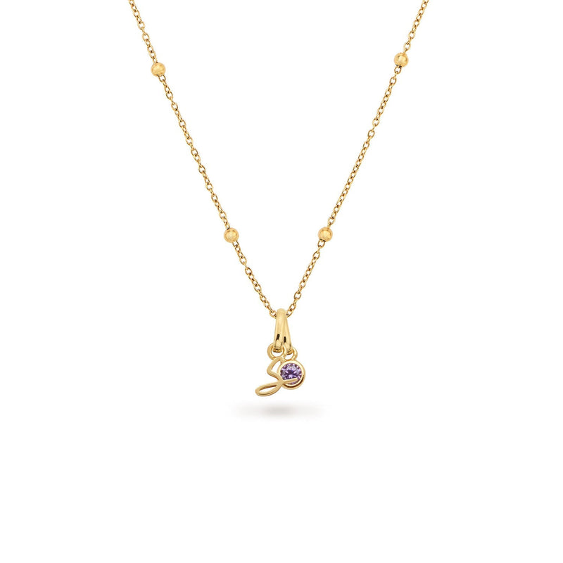 Script Initial & Birthstone Necklace (Gold)