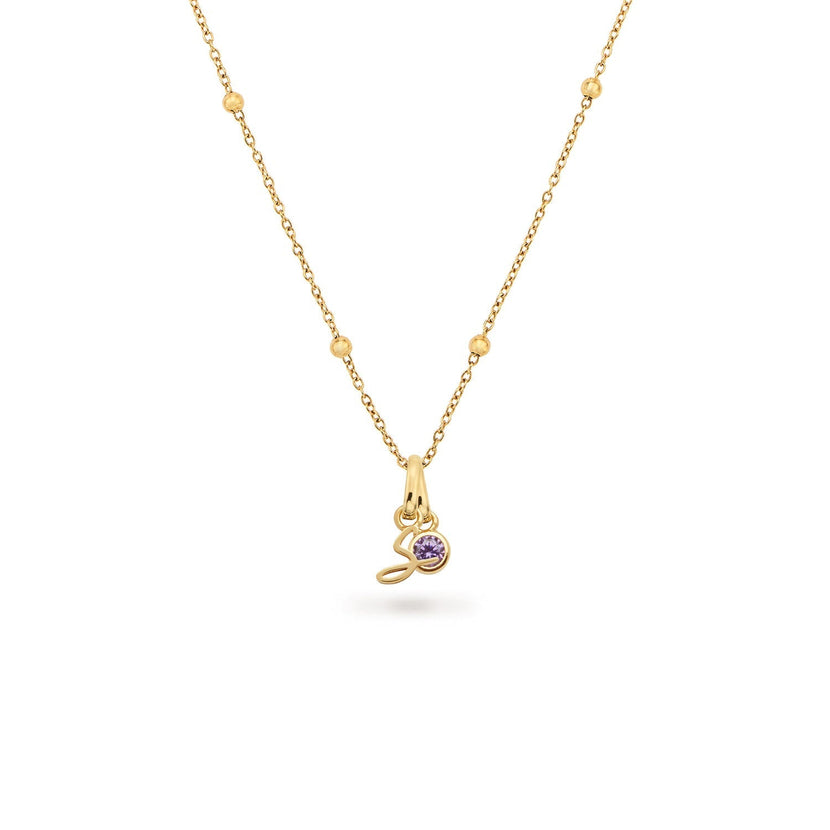 Script Initial & Birthstone Necklace (Gold)