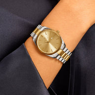 Silver Chain Champagne Belgravia 36 Watch