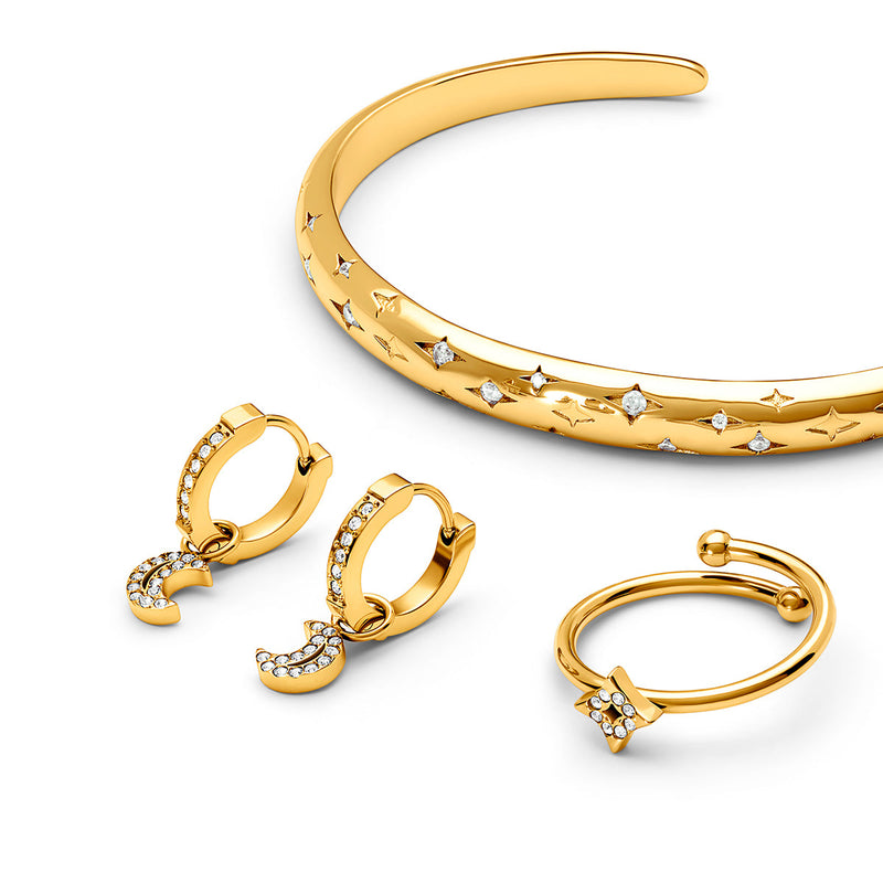 Moon and Back Moon Huggie Hoop Earrings (Gold)